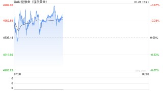 现货黄金强势站上4950美元，机构：上涨逻辑依然坚实