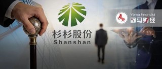 72亿入局！安徽国资成杉杉重整最后赢家？