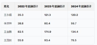 斯坦德机器人港股IPO:两位哈工大毕业90后创立，薪酬差距拉大，王永锟年薪120万是李洪祥2倍！小米是核心股东
