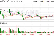 共进股份：持续稳定地提升公司业绩是维护股东长期利益与公司长远发展的根本