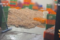 一文看懂 | 央视3·15七弹连发！直击漂白鸡爪、荐股骗局、AI投毒，蜀福香、哈啰租电动车等企业上榜