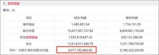 英科医疗玩转息差套利？逾200亿“躺账面”又再举债150亿