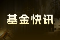 天弘中证计算机 ETF 联接 C：净值波动，持仓前十 001630