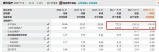 英科医疗玩转息差套利？逾200亿“躺账面”又再举债150亿