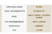 罗永浩被冻结713万股权