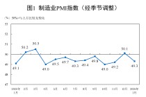 1月制造业PMI49.3%，制造业市场价格总体改善