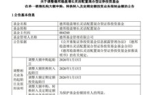 GEO概念火到基金圈，德邦稳盈增长基金触发限购，23年因老婆买基金而多做家务的雷涛收益回暖