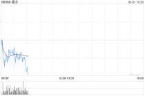 盛业完成配售合共1748万股配售股份