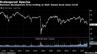 宏观看客：AI颠覆论是个有趣谈资 但系统性风险在别处
