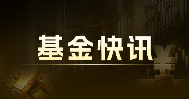 天弘中证计算机 ETF 联接 C:净值波动,持仓前十 001630 第1张 天弘中证计算机 ETF 联接 C:净值波动,持仓前十 001630 第1张