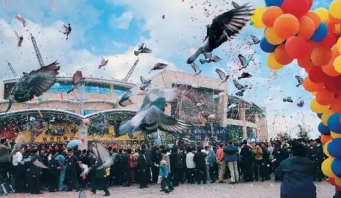 祥源控股拟23亿港元并购海昌海洋公园,专业败给了资本 第1张 祥源控股拟23亿港元并购海昌海洋公园,专业败给了资本 第1张