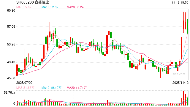 合盛硅业转亏股东清仓式减持:固定资产在建工程有息负债均超300亿 直接融资109亿后拟再大规模募资 第1张 合盛硅业转亏股东清仓式减持:固定资产在建工程有息负债均超300亿 直接融资109亿后拟再大规模募资 第1张