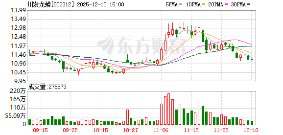 川发龙蟒：公司未来的资本开支将继续紧密围绕“稀缺资源+核心技术+产业整合+先进机制”发展战略开展  第1张