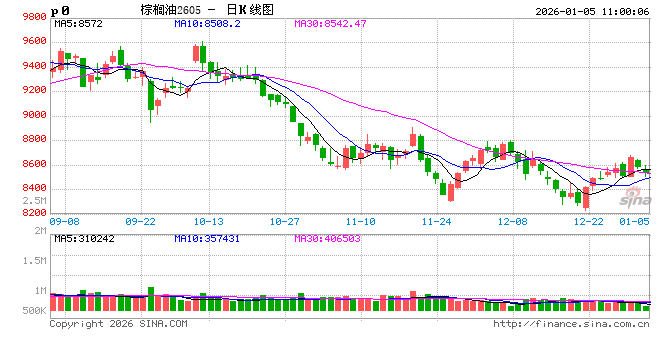 光大期货：1月5日农产品日报  第2张