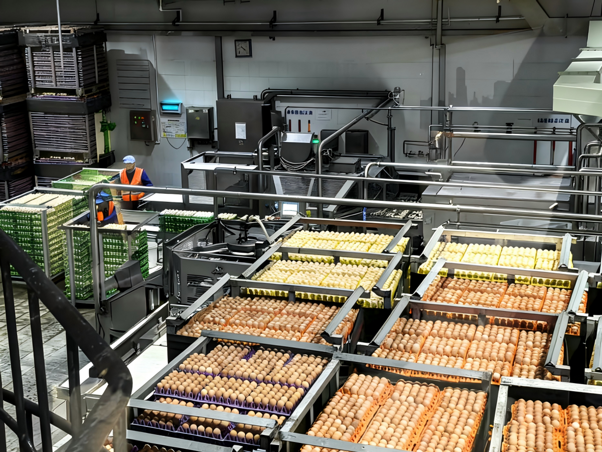 金融暖意 装满你的新春购物车  第5张