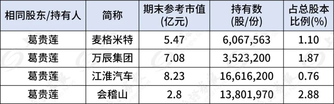 葛卫东家族，190亿持仓曝光  第3张